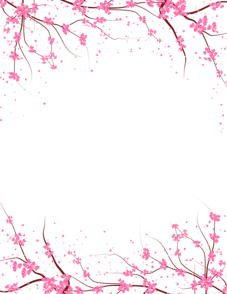 Sakura Flower Frame. Cherry Blossom Background. Spring Floral Branch Border. png