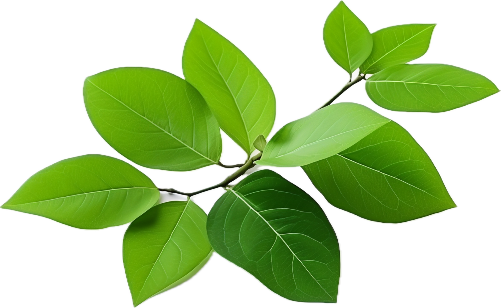AI generated green leaves png