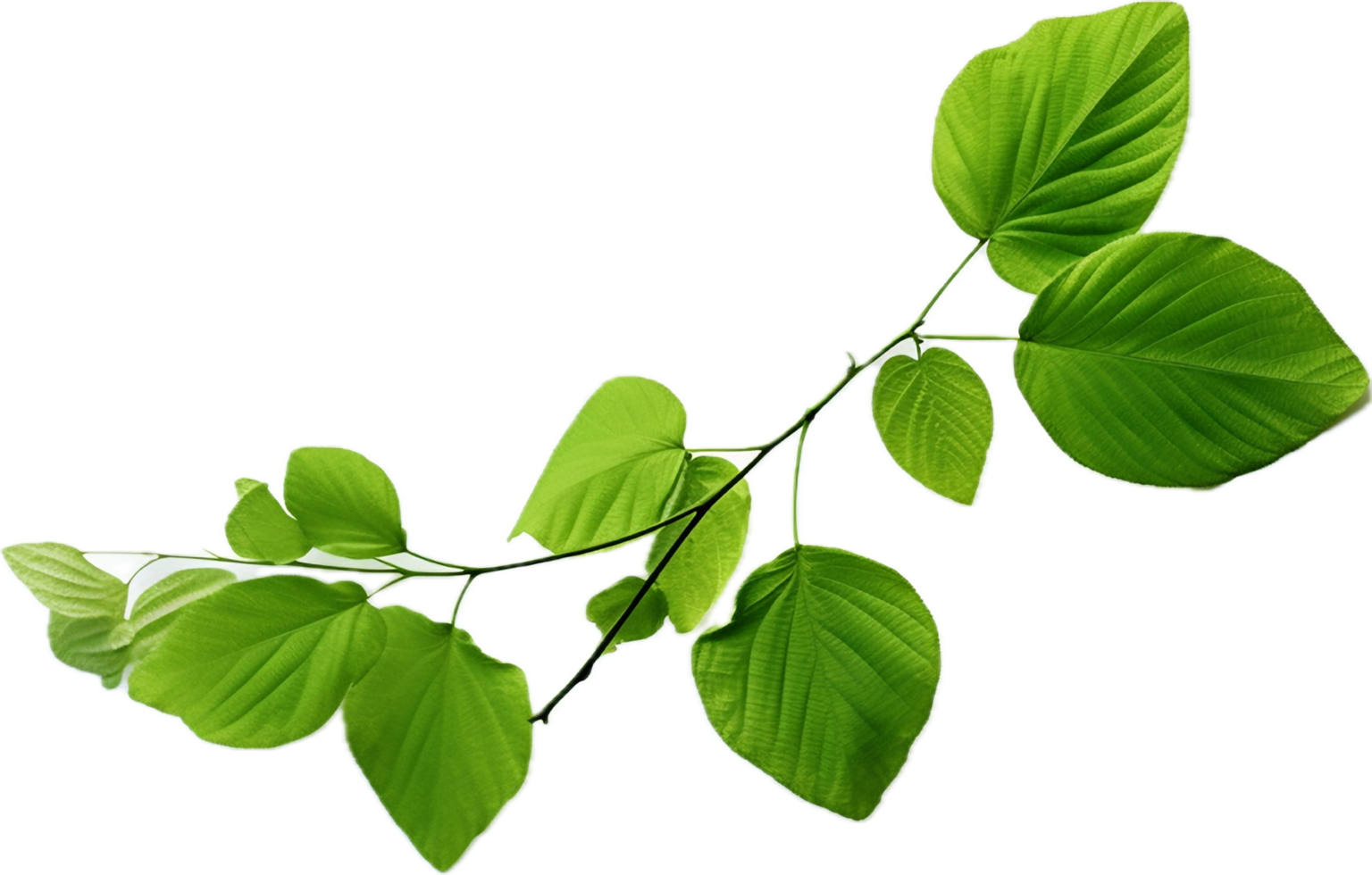AI generated green leaves png