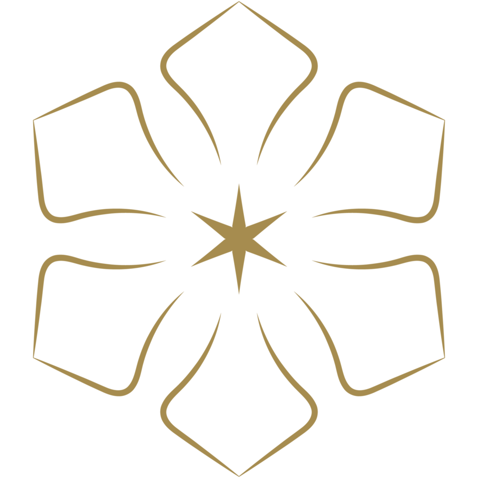 tribal geometric pattern icon. transparent pattern illustration png