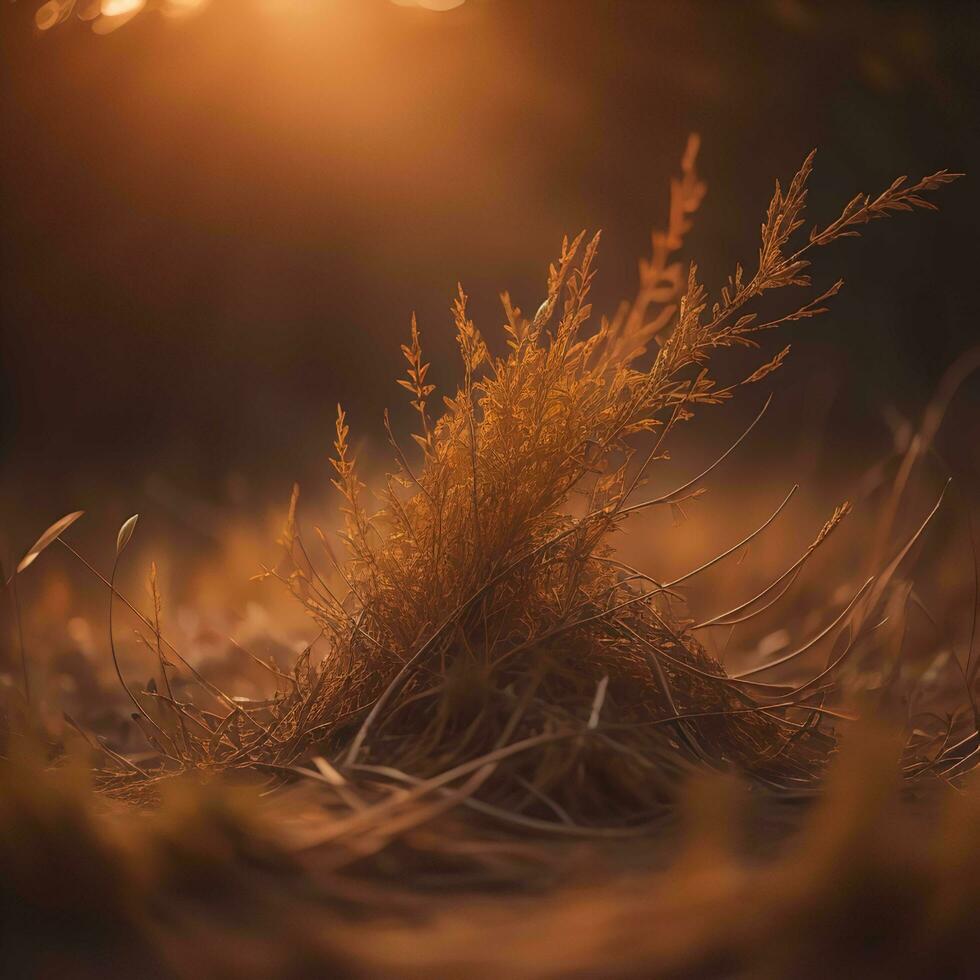 ai generado otoño césped en el puesta de sol ligero. hermosa naturaleza antecedentes con Copiar espacio. generativo ai foto