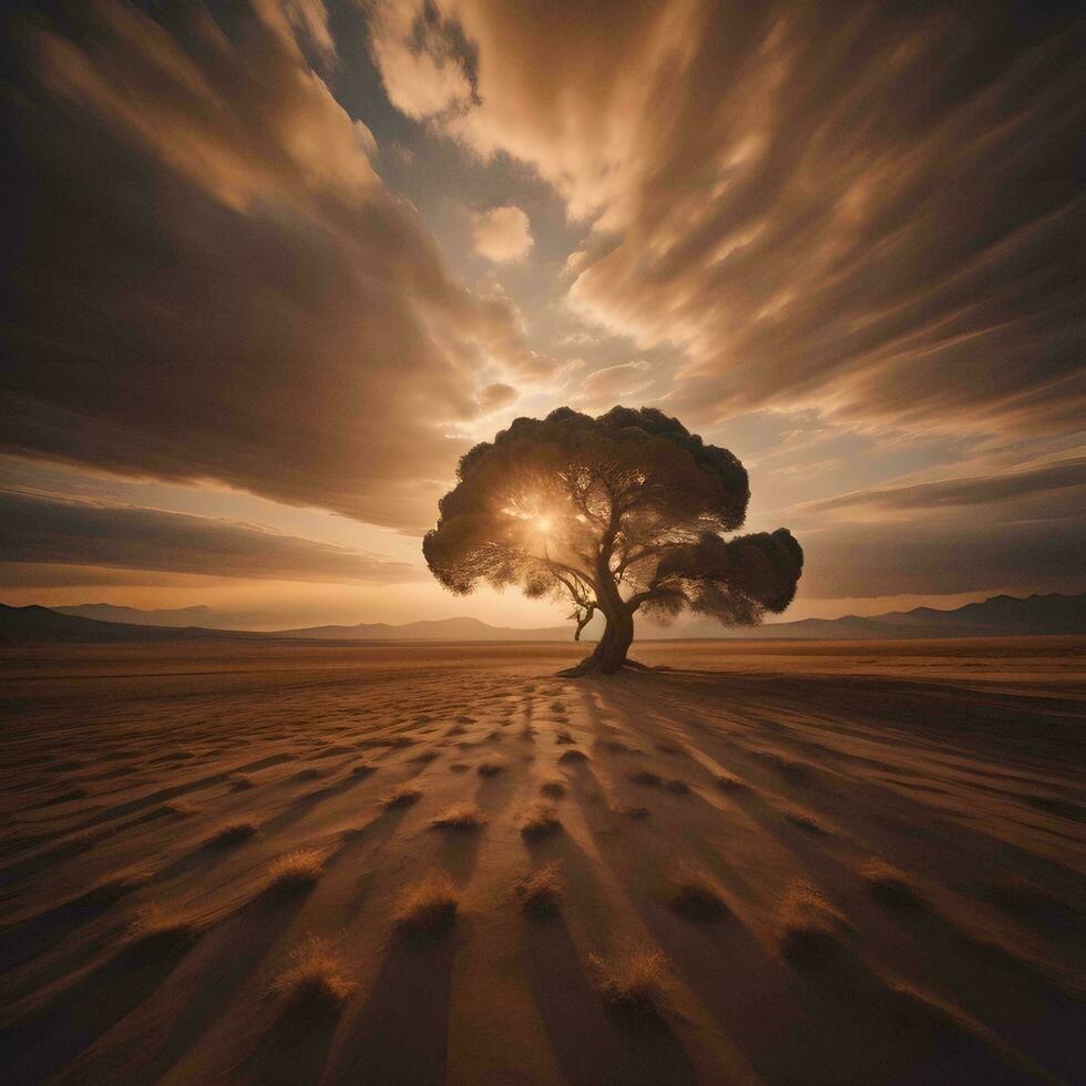 AI generated Lonely tree in the desert at sunset, generative ai photo