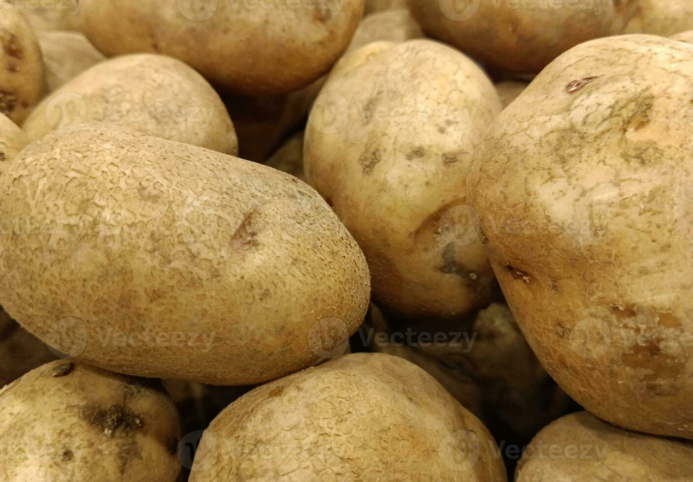 Nature image view. Fresh raw Indonesian potato - healthy food photo