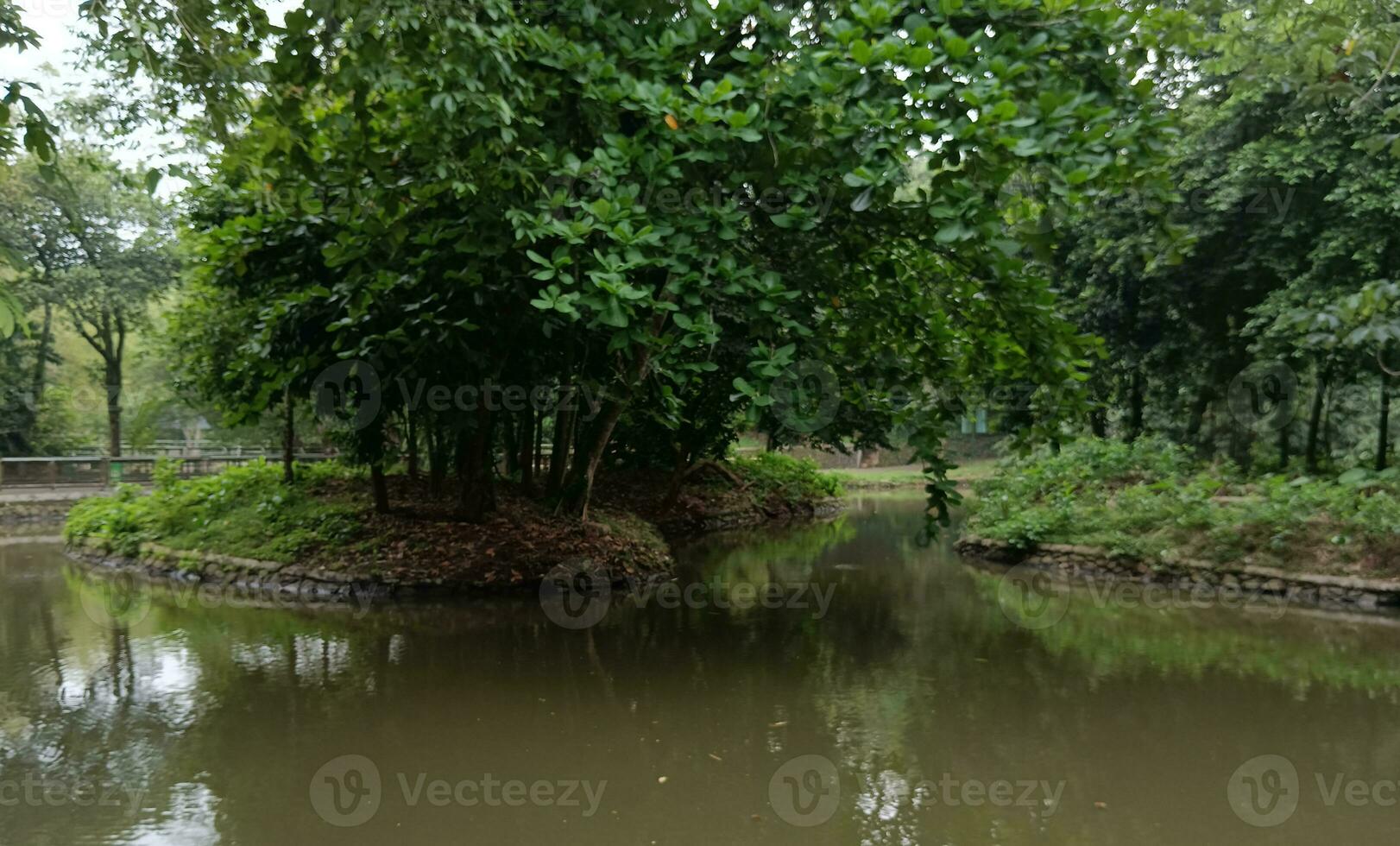 Nature landscape. a morning view of geo city park. photo