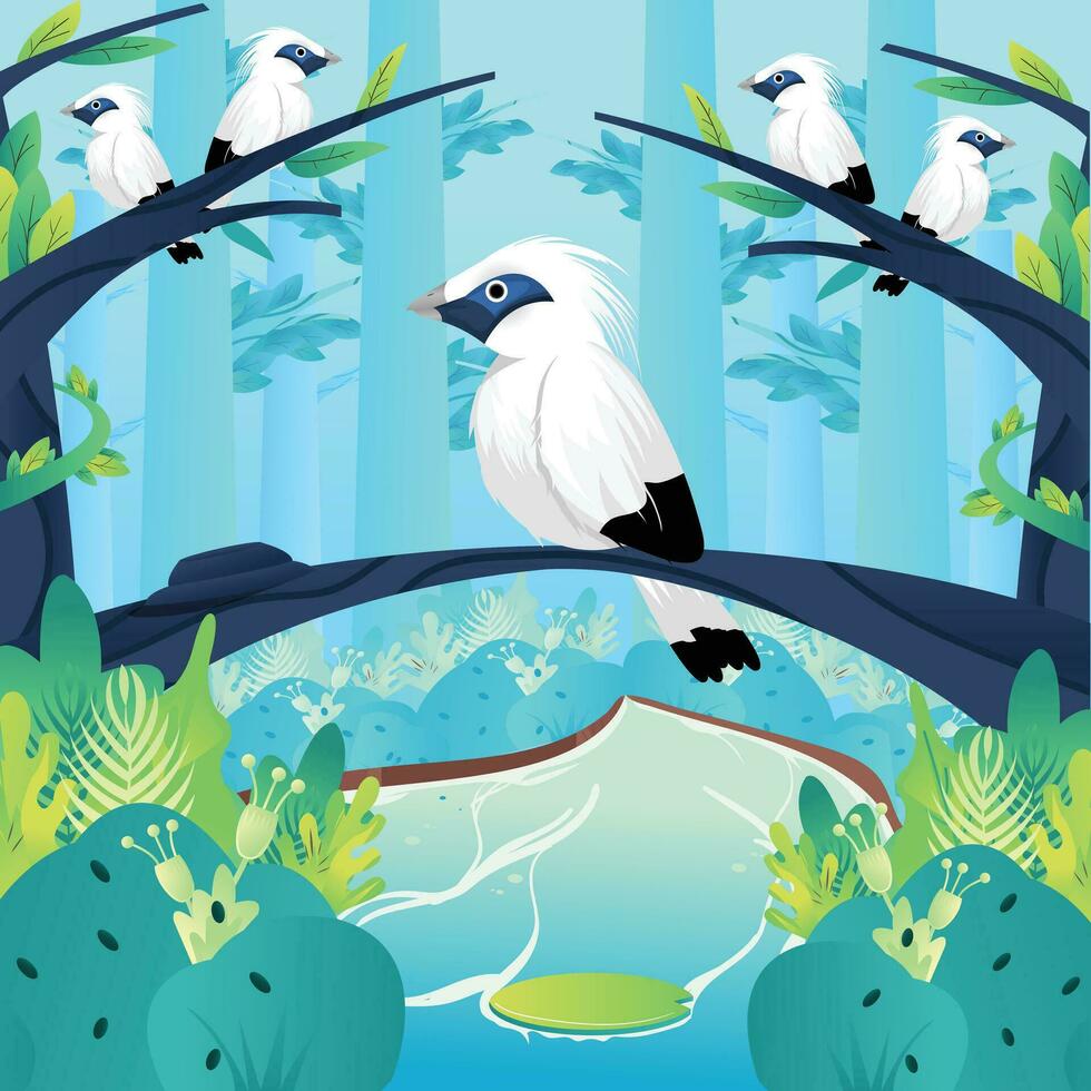 vector illustration of Jalak Bali
