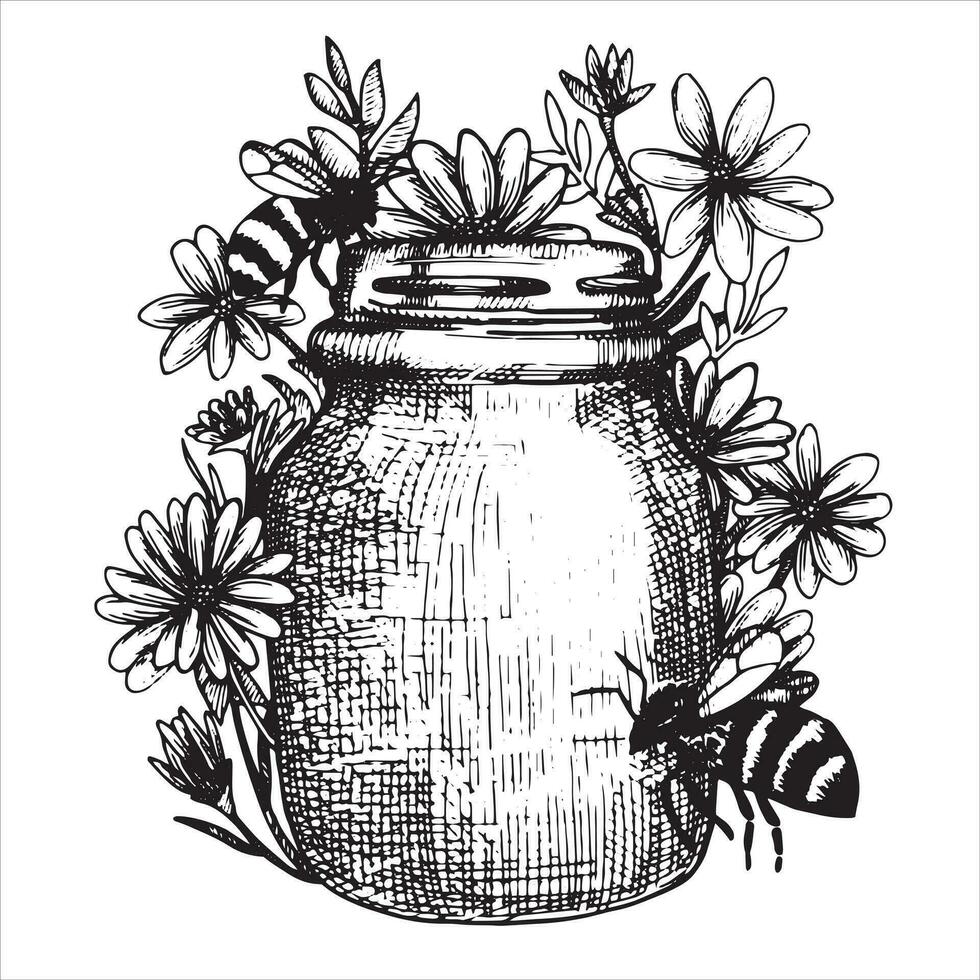 dibujo vectorial en estilo vintage. miel. tarro con miel, panales. producto ecológico, comida. grabado de dibujo gráfico vector