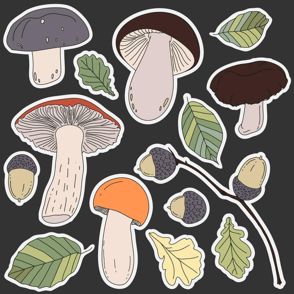 Mushrooms, acorns, and leaves stickers isolated on dark. Set of autumn illustration for weekly or daily planner and diaries. The concept of fall, the gifts of the forest vector