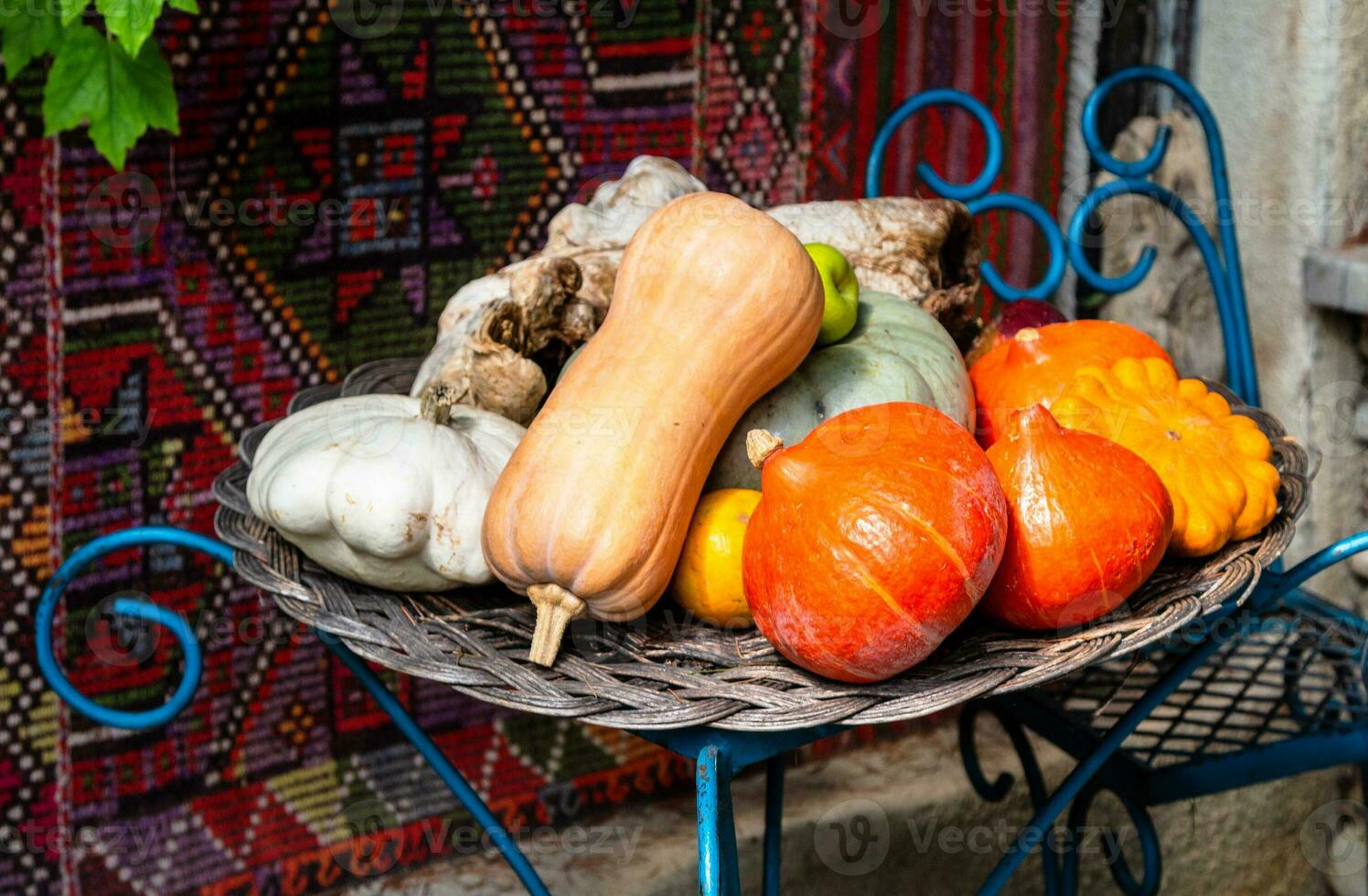 various pumpkins and squash on table in courtyard photo