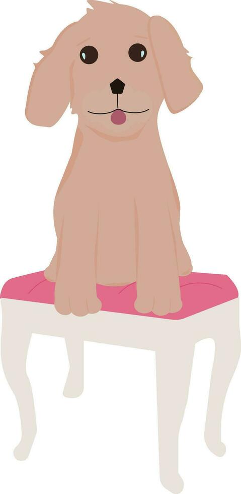 The dog is sitting on a chair vector