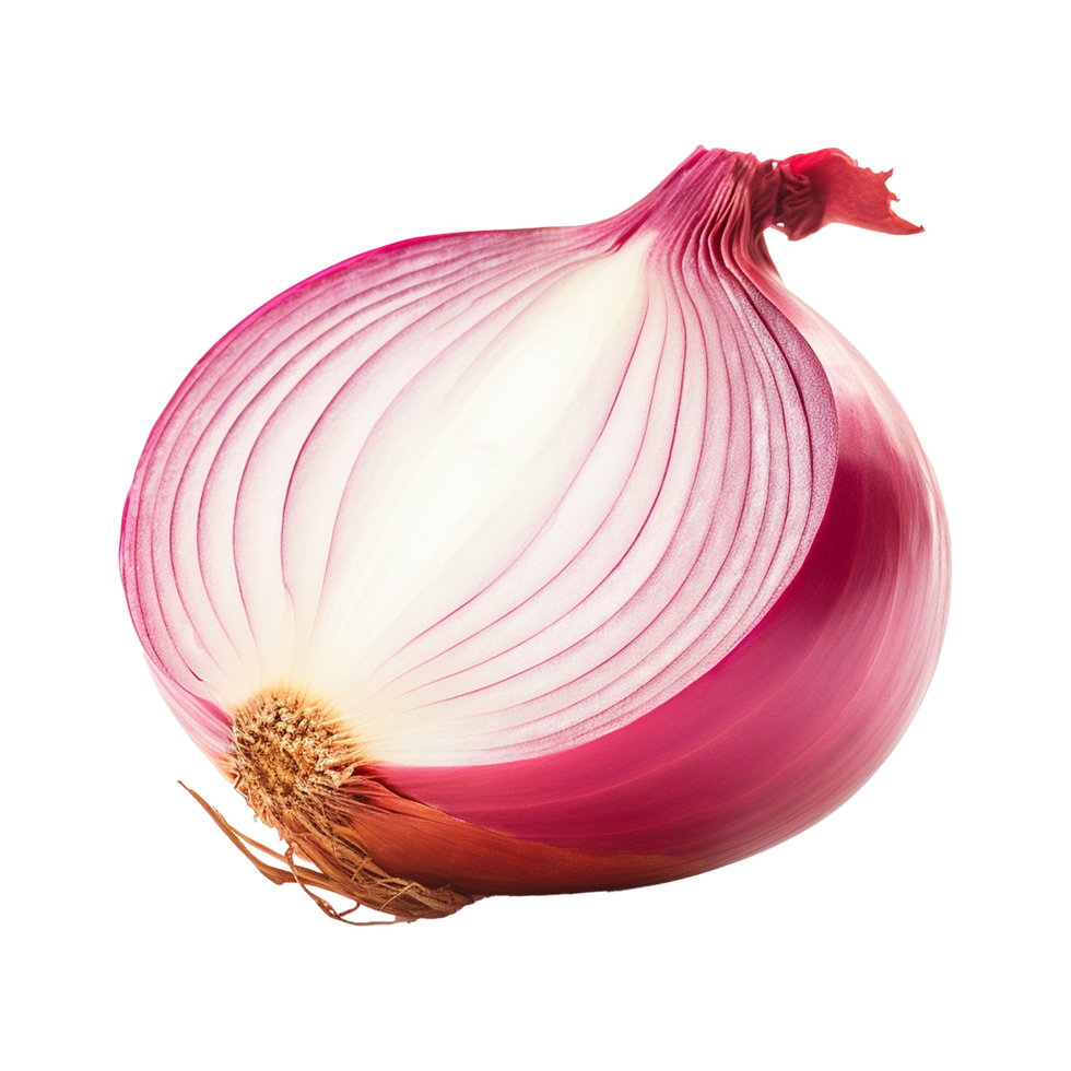 AI generated Fresh onion isolated on transparent background png