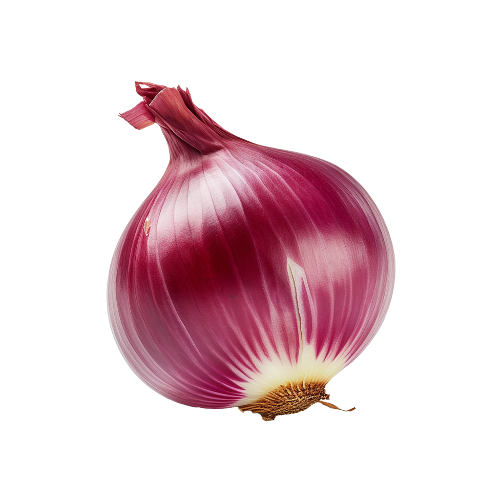 AI generated Fresh onion isolated on transparent background png
