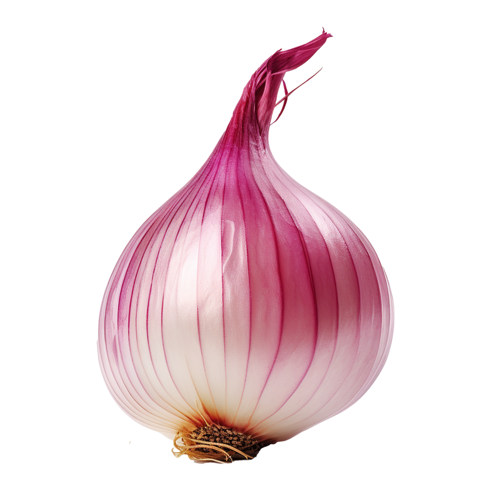 AI generated Fresh onion isolated on transparent background png