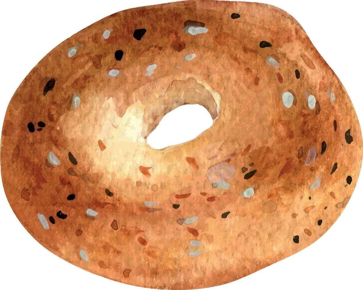 Fresco todo rosquilla con sésamo acuarela ilustración aislado en blanco antecedentes. mano dibujado desayuno un pan para panadería. pintado rosquilla. elemento para diseño señalización, libro de cocina, envase, embalaje vector