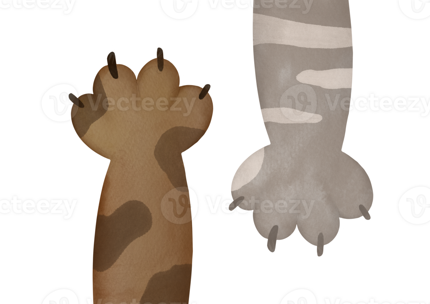 Different cartoon multi-colored cat paws set. cute cartoon domestic animal foot Collection isolated on transparent background. Funny fur pet footprints with claws. Help animal concept pet adoption png