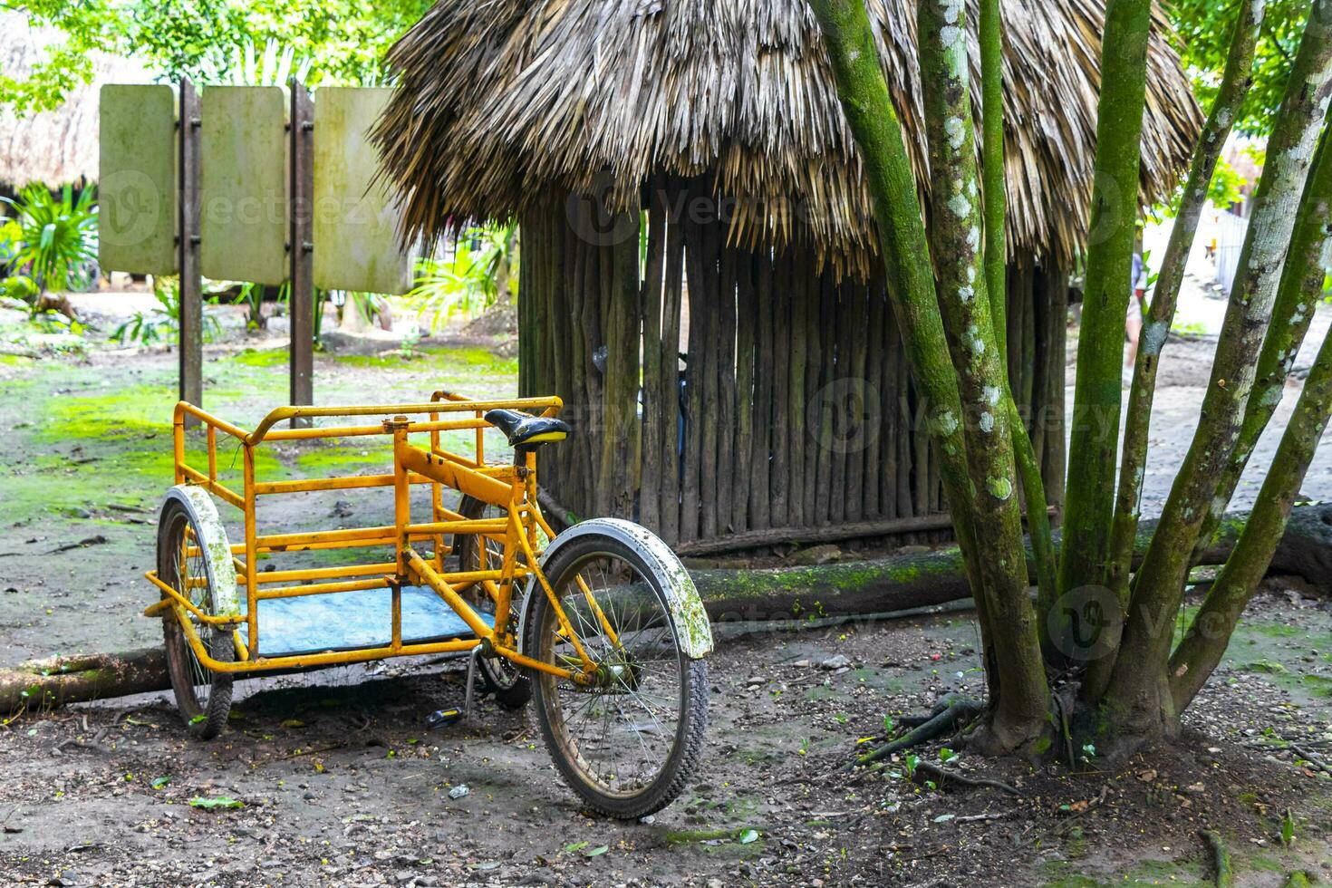 Rent a bike tricycle ride through the jungle Coba Ruins. photo