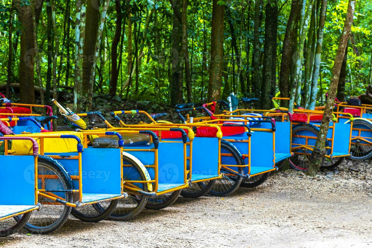 Rent a bike tricycle ride through the jungle Coba Ruins. photo