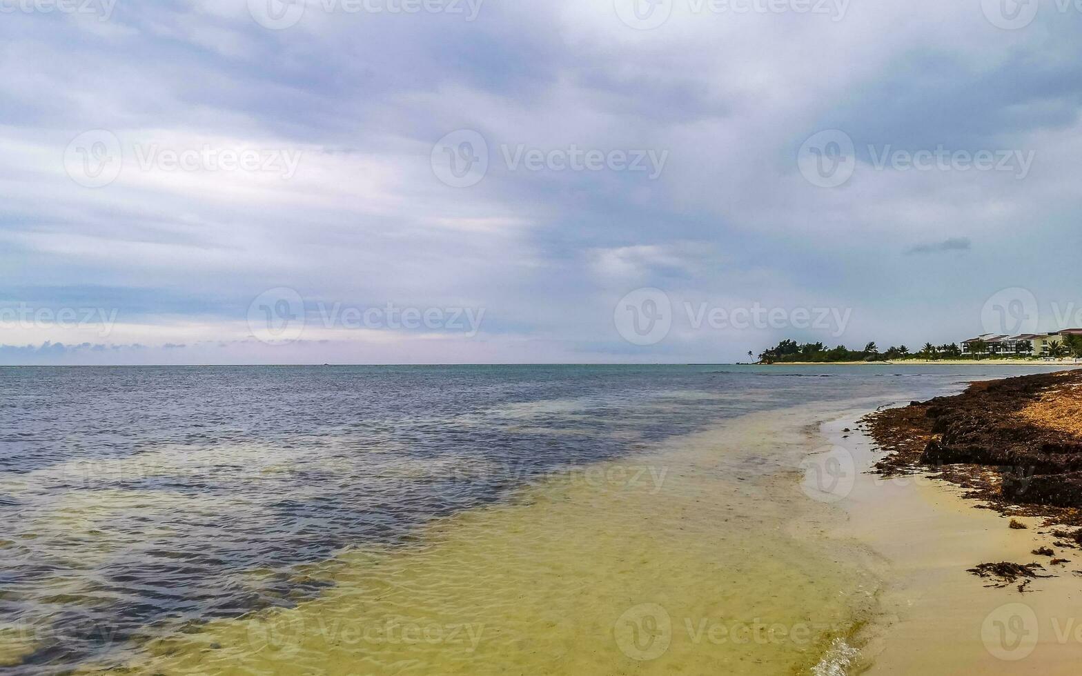 Tropical Caribbean beach clear turquoise water Playa del Carmen Mexico. photo