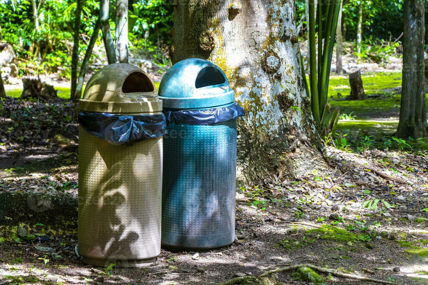 basura latas en el parque de cabo restos en México. foto