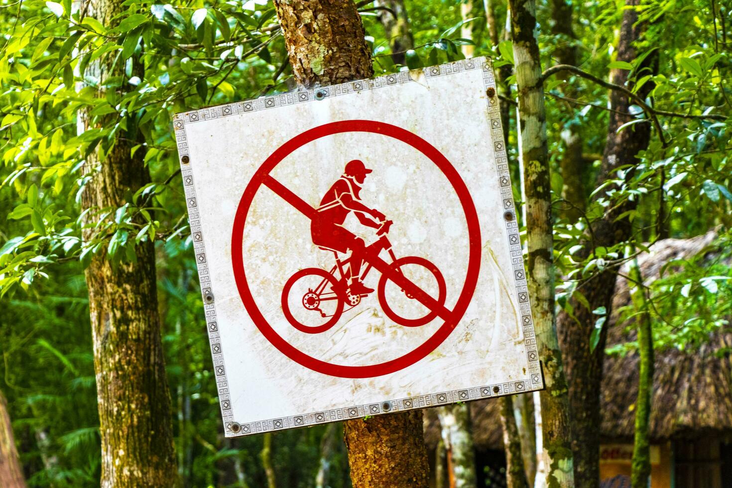 Coba Quintana Roo Mexico 2023 Forbidden bike sign arrow information board direction in Coba Ruins. photo