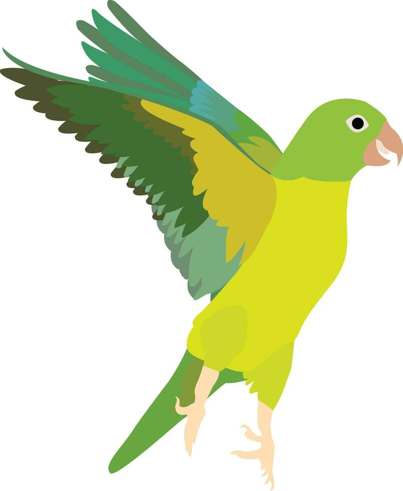 illustration of green parrot vector design on a white background