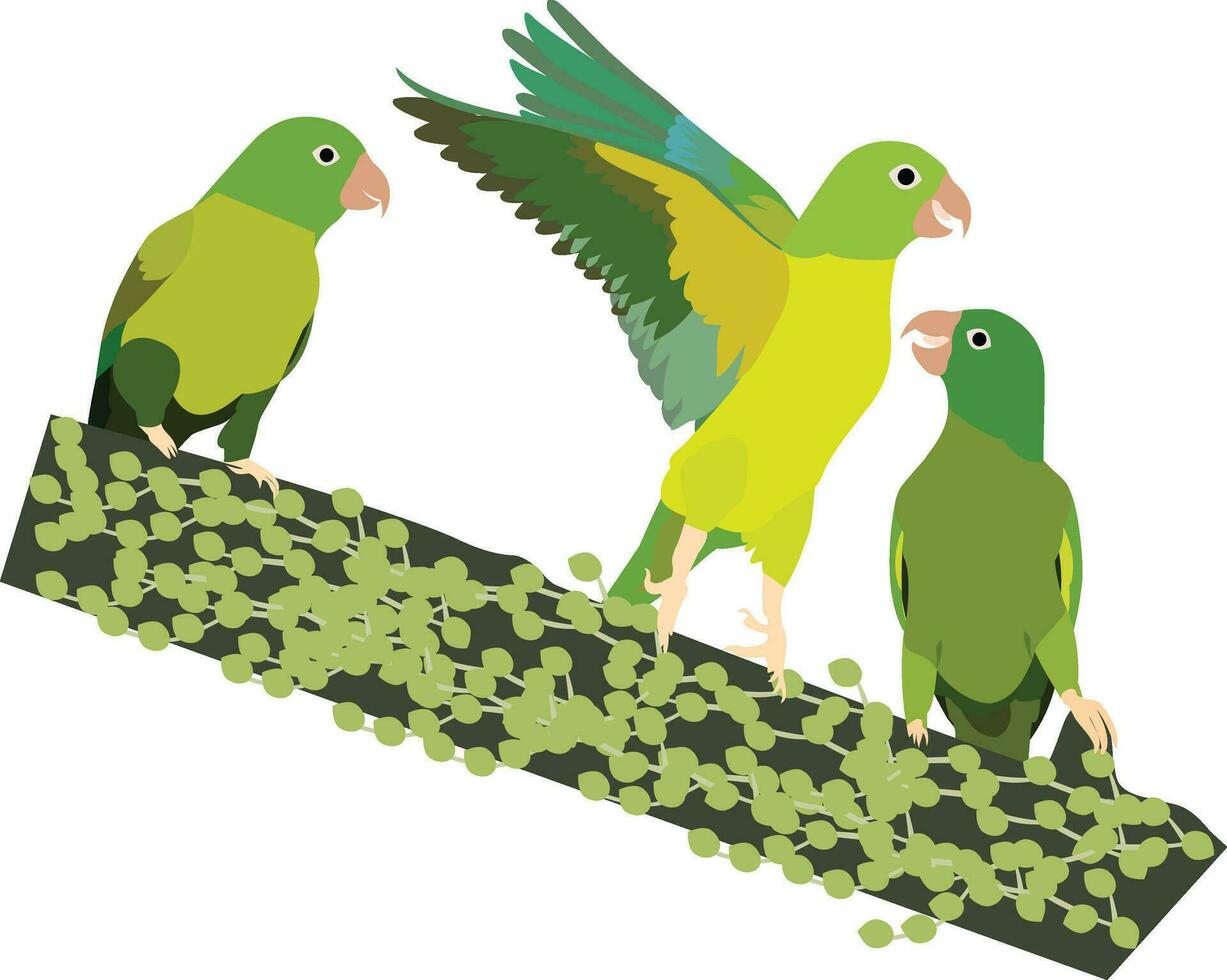 illustration of mother parrot with baby parrot vector design