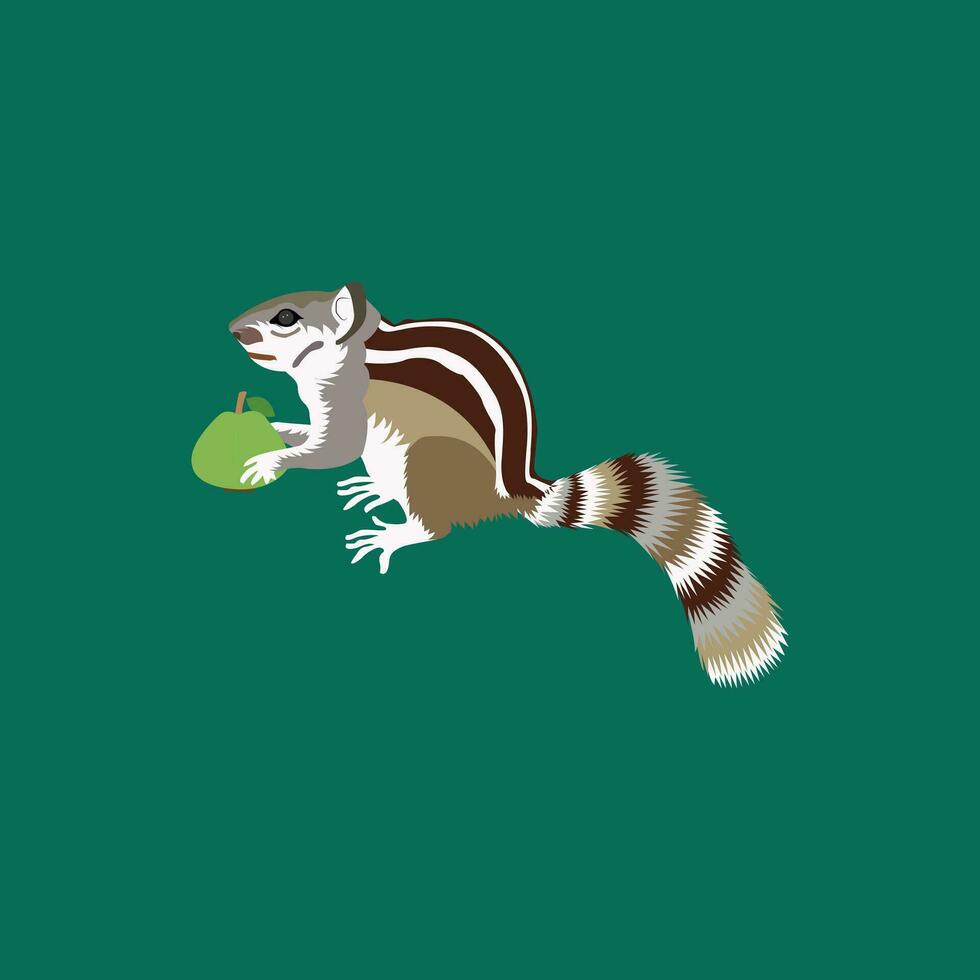 illustration of squirrel vector design with guava vector on a white background