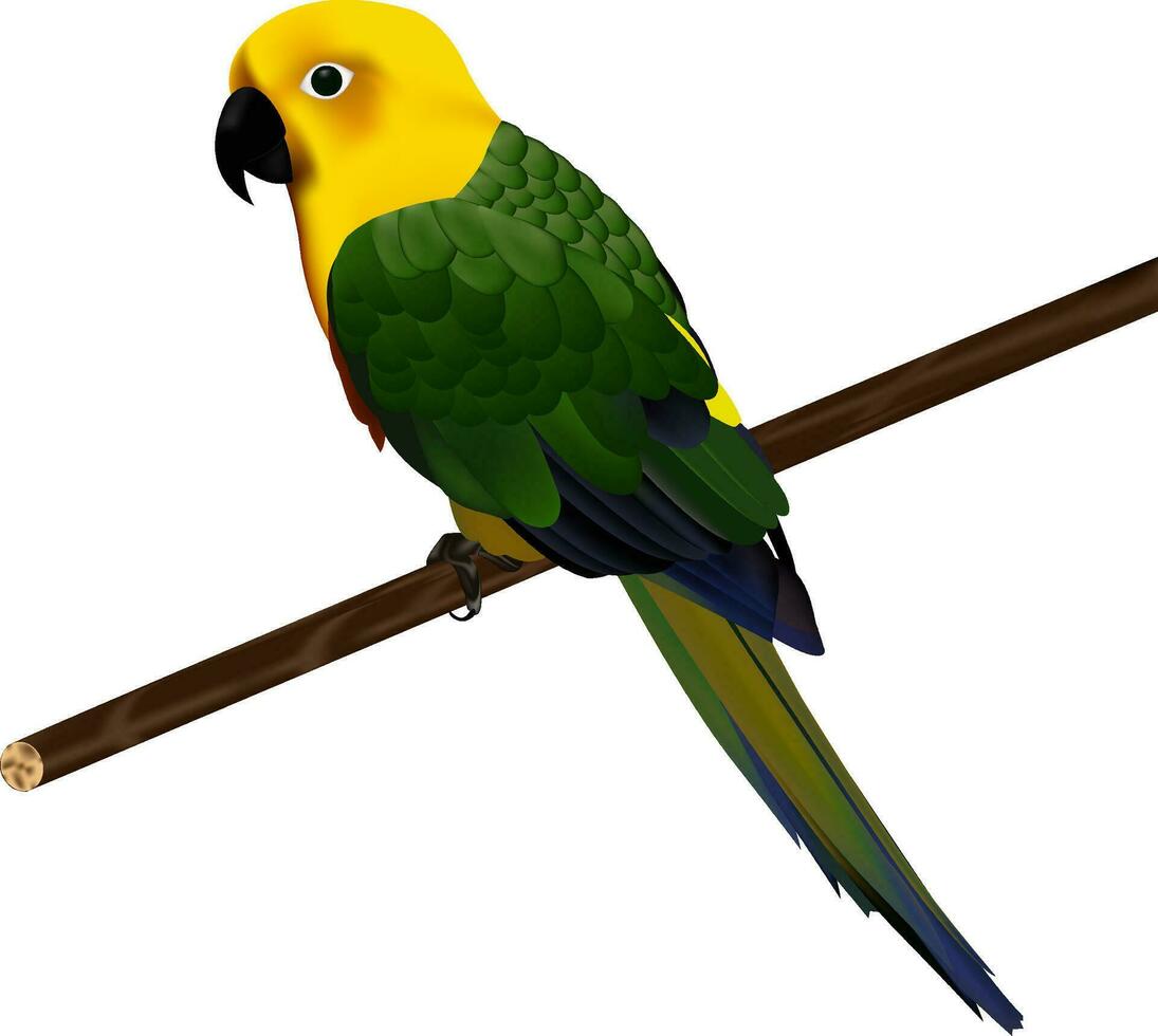 illustration of parrot Vector design on a white background