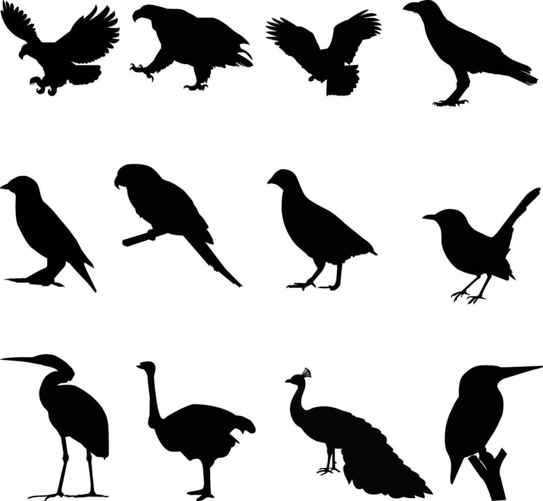 conjunto de pájaro silueta diseño en un blanco antecedentes vector