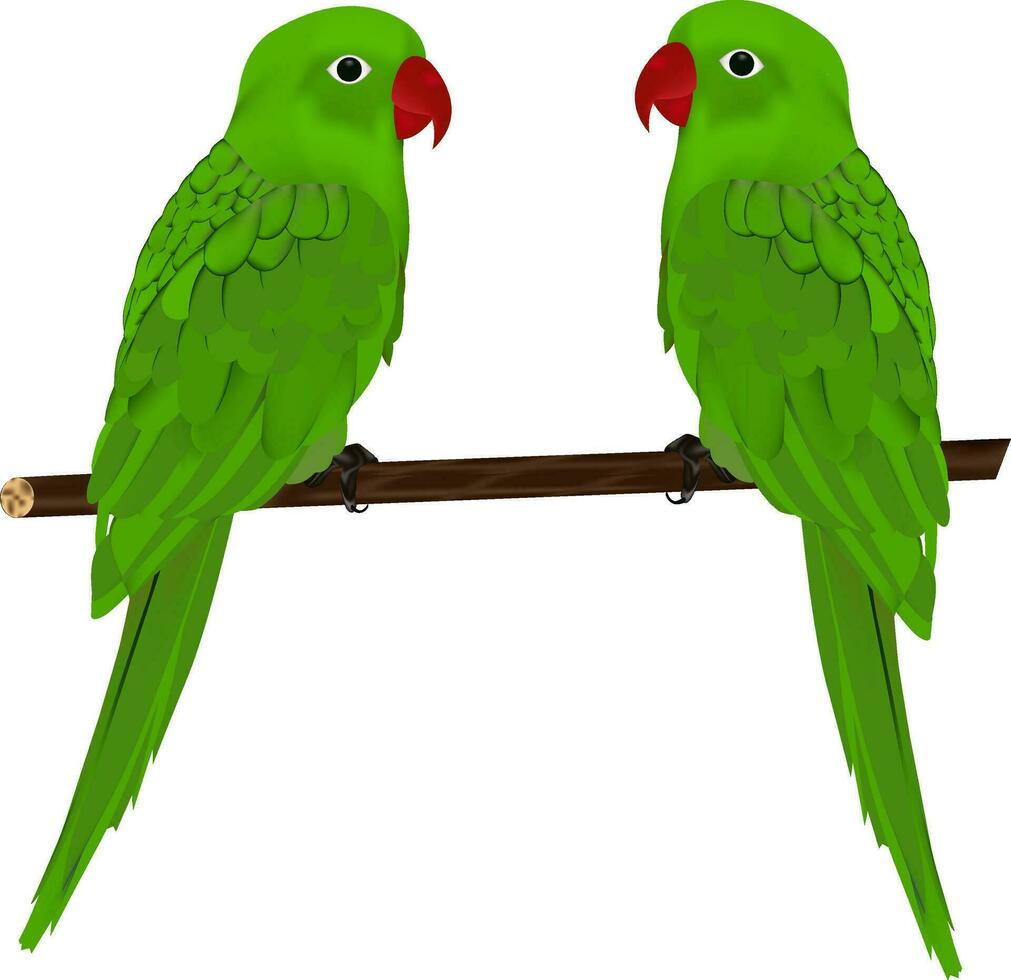 illustration of parrot Vector design on a white background