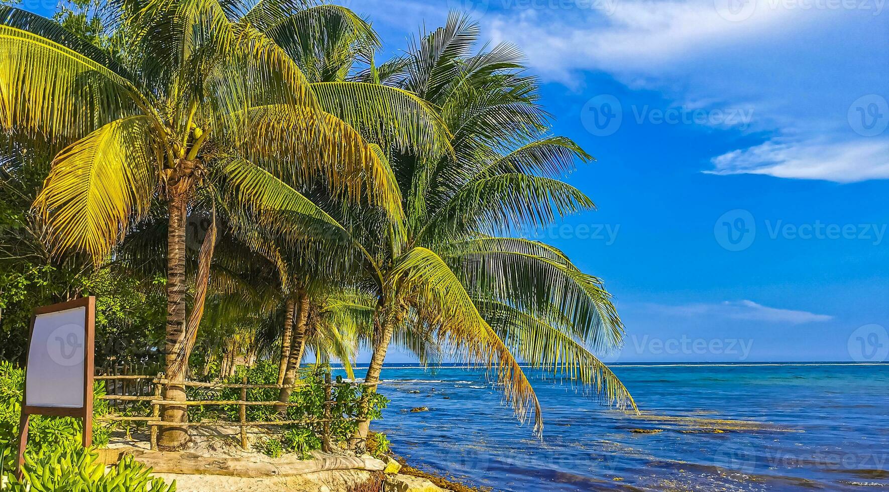 Tropical caribbean beach cenote Punta Esmeralda Playa del Carmen Mexico. photo