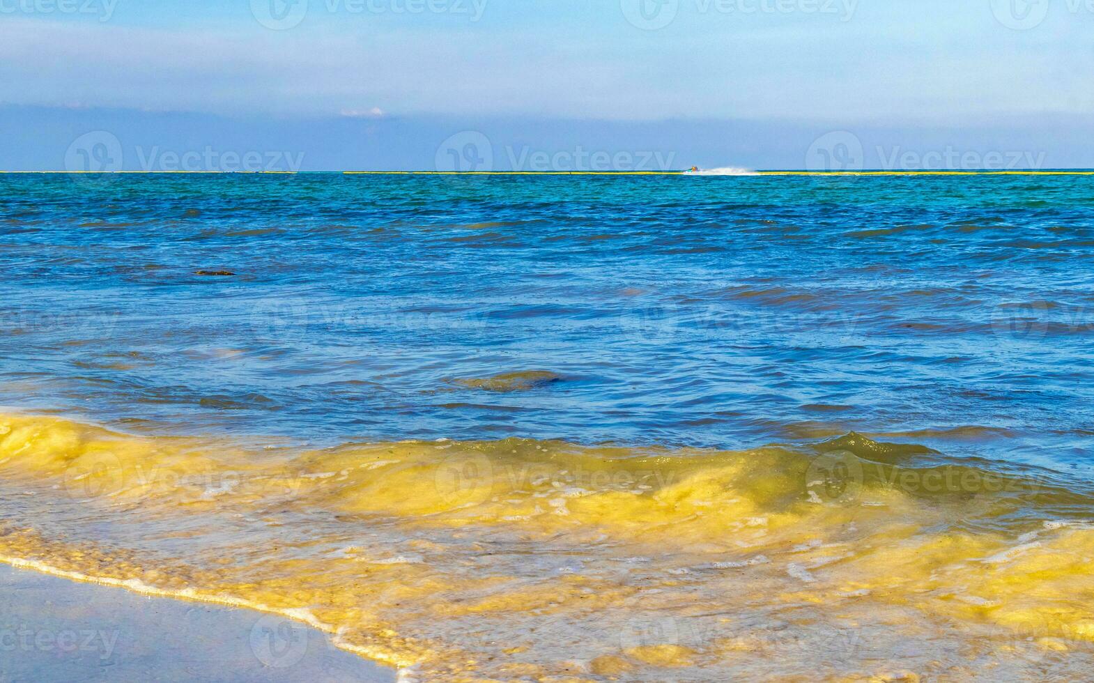 Tropical Caribbean beach clear turquoise water Playa del Carmen Mexico. photo