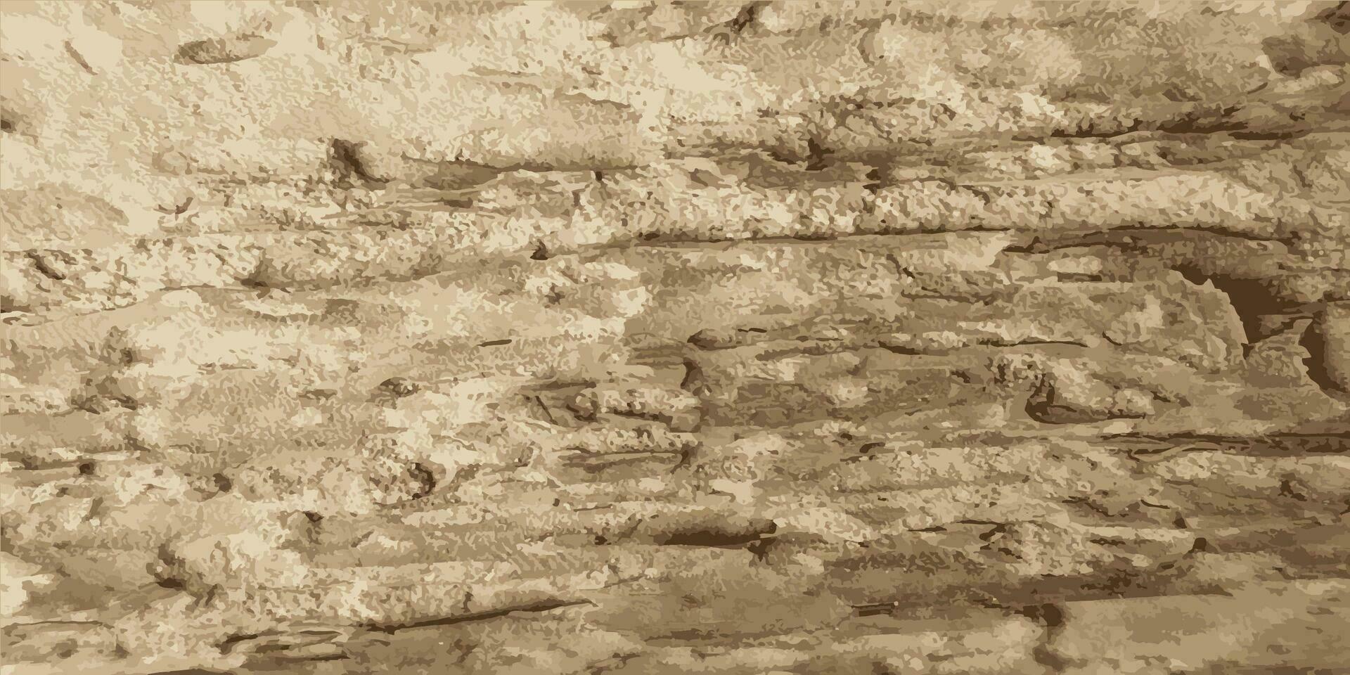 Rotting old wood. Vintage rotten wood texture. Vector illustration
