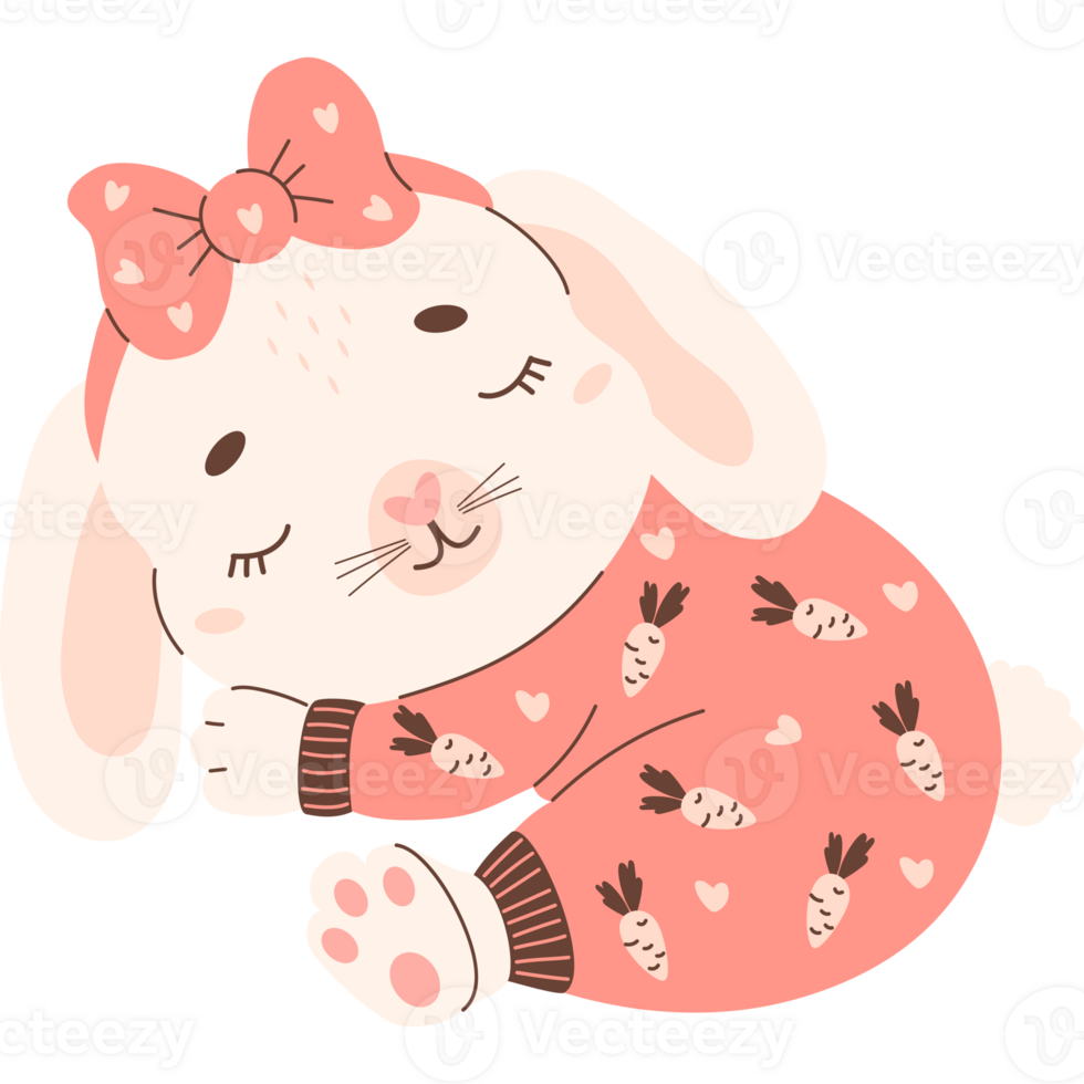 sleeping animal rabbit in pajamas png