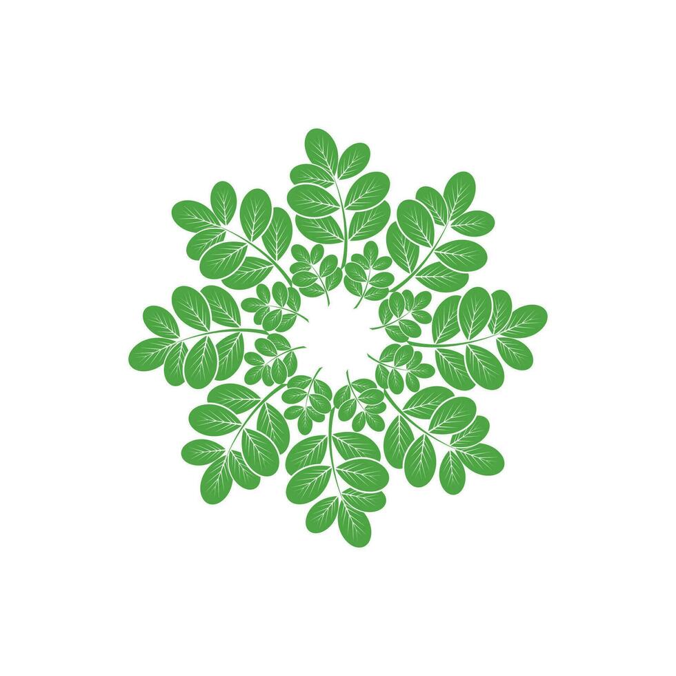 Moringa logo vector template symbol nature