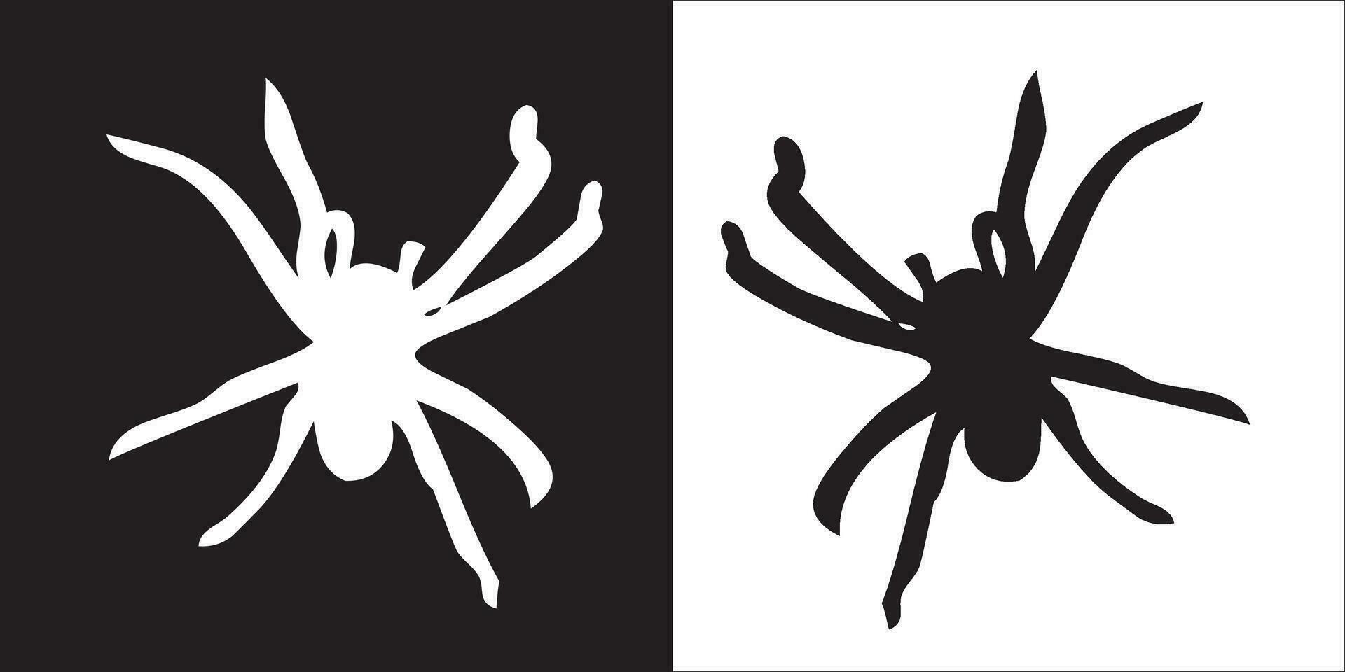 ilustración vector gráficos de araña icono