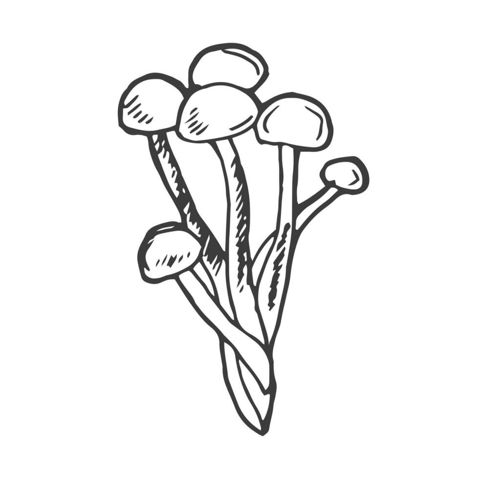 Bunch of mushrooms. Black line sketch collection of vegetables isolated on white background. Doodle hand drawn vegetable icons. vector