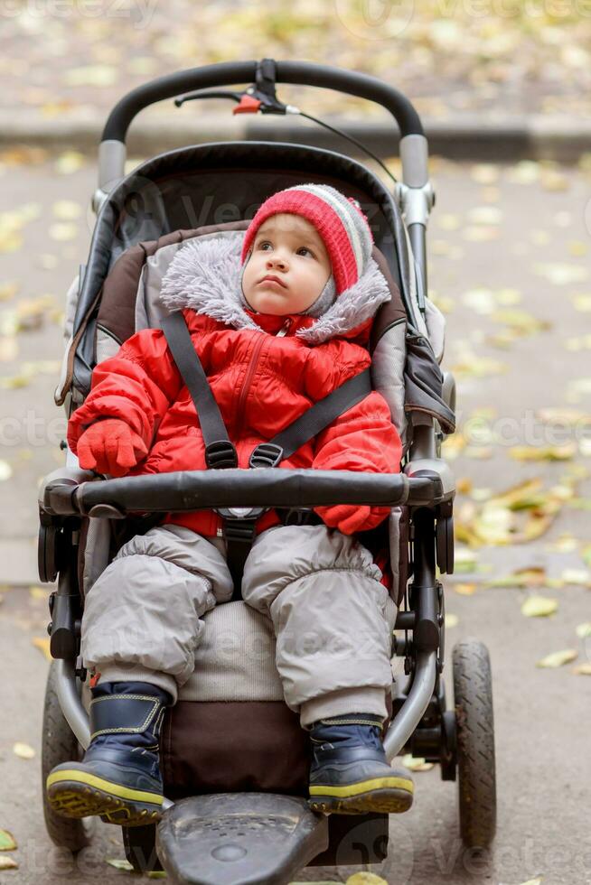 Little baby is sitting in a stroller photo