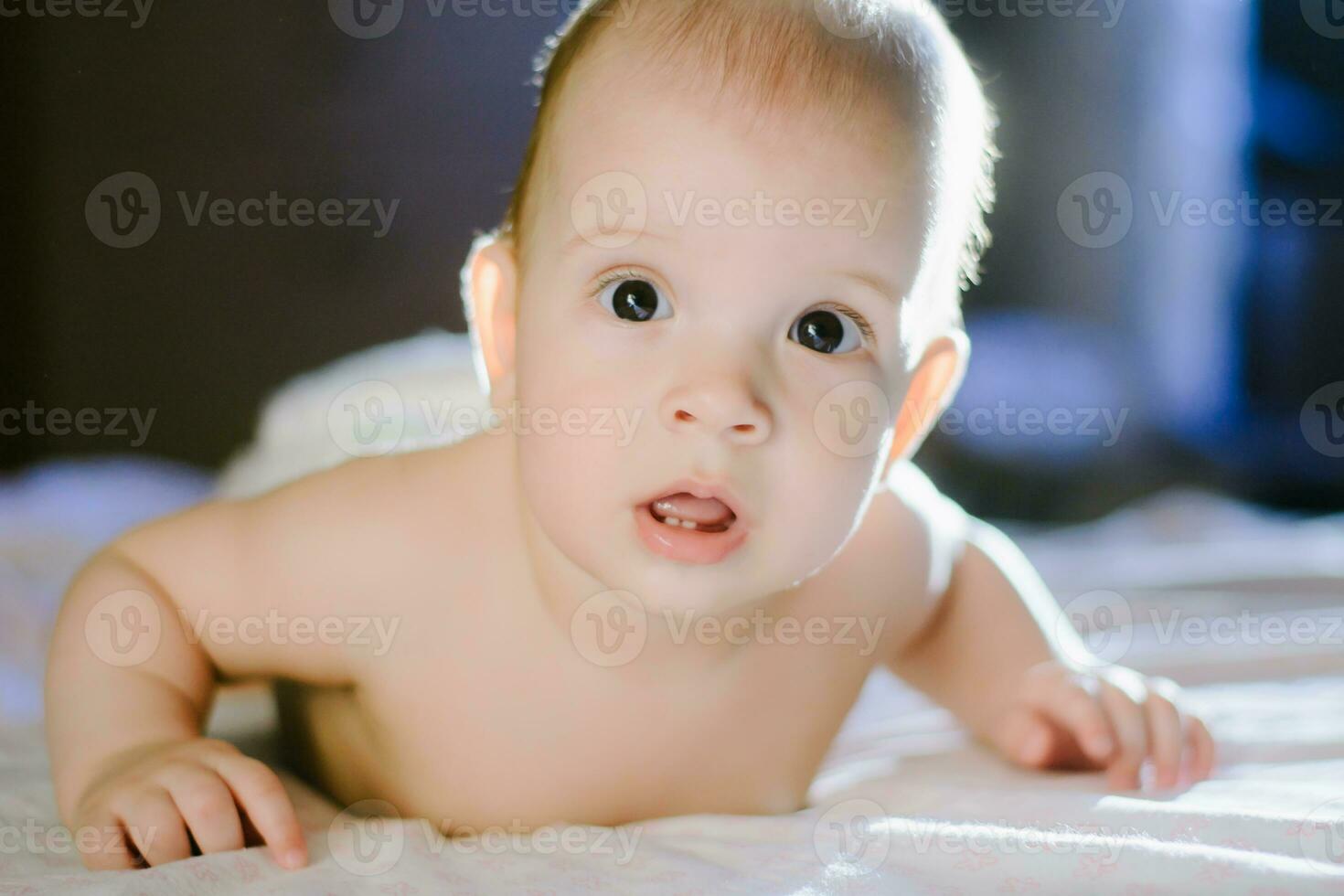 little baby lying on his stomach in a crib photo