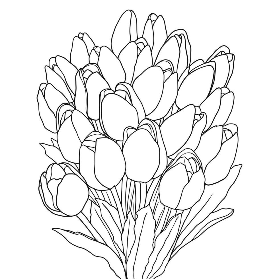 Clear line art illustration of a bunch of flowers vector