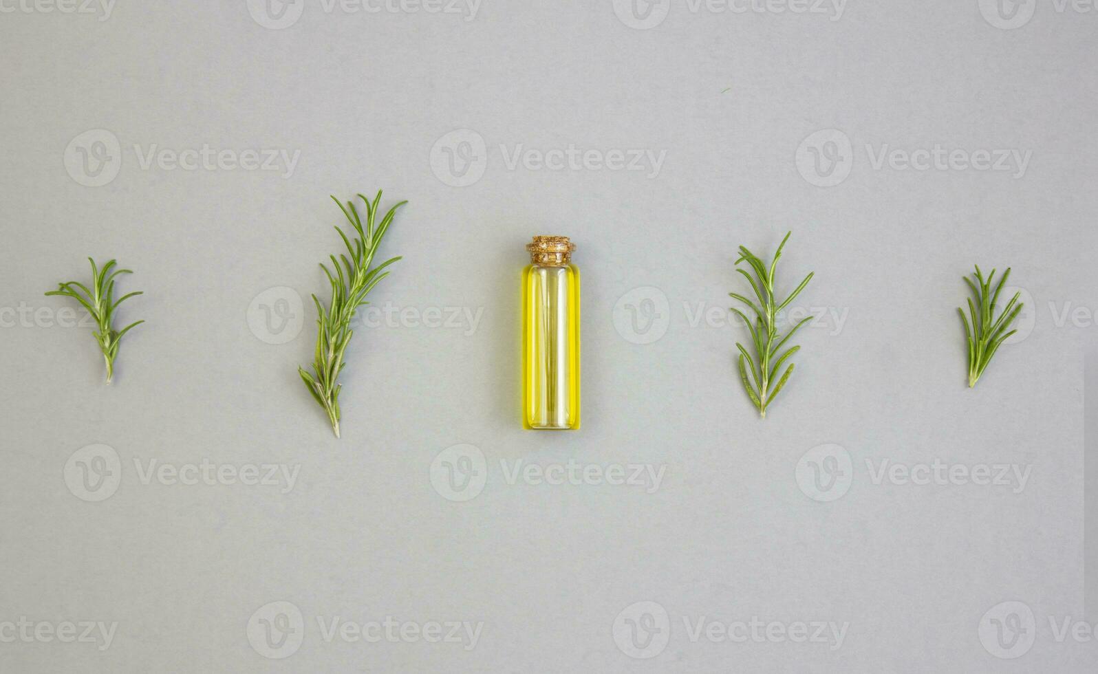 Olive oil and sprigs of rosemary on a gray background photo