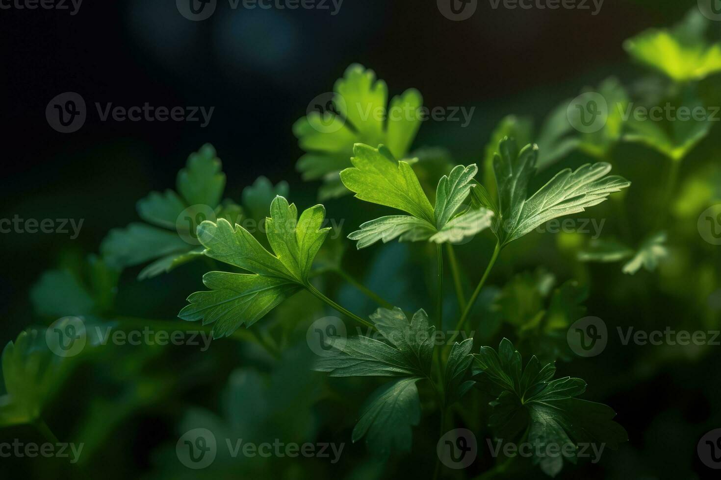 AI generated Fresh green herb plant with vibrant green leaves photo