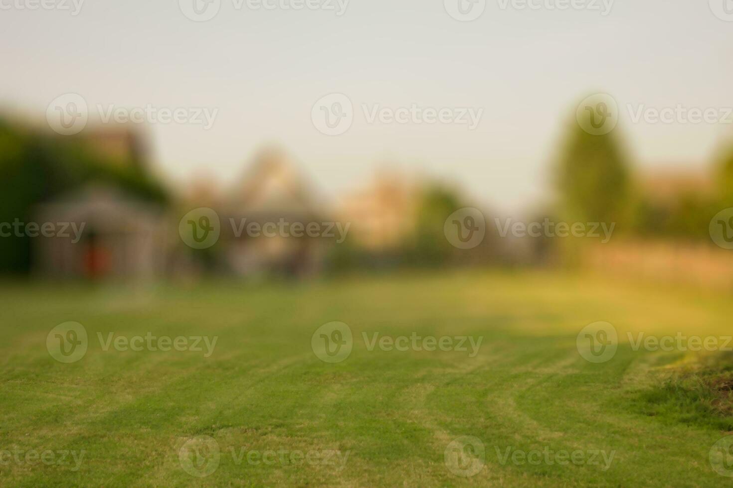 Back yard with beautifully trimmed grass. Selective focus photo