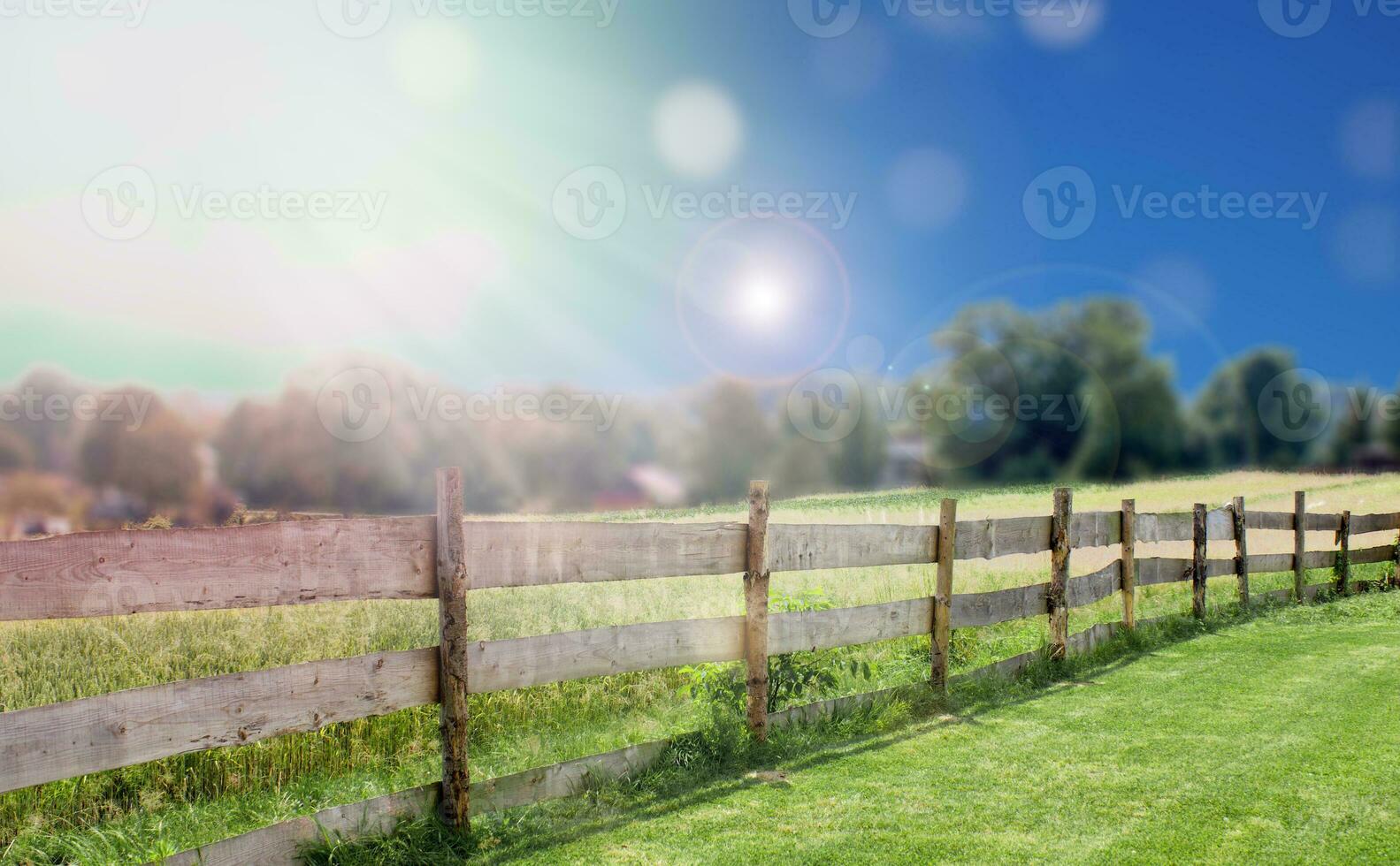 Wooden fence and field on a sunny day. photo