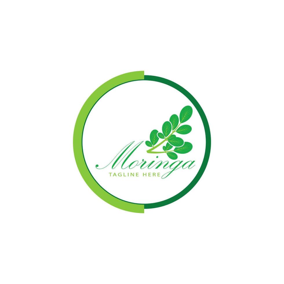 moringa logo vector modelo símbolo naturaleza