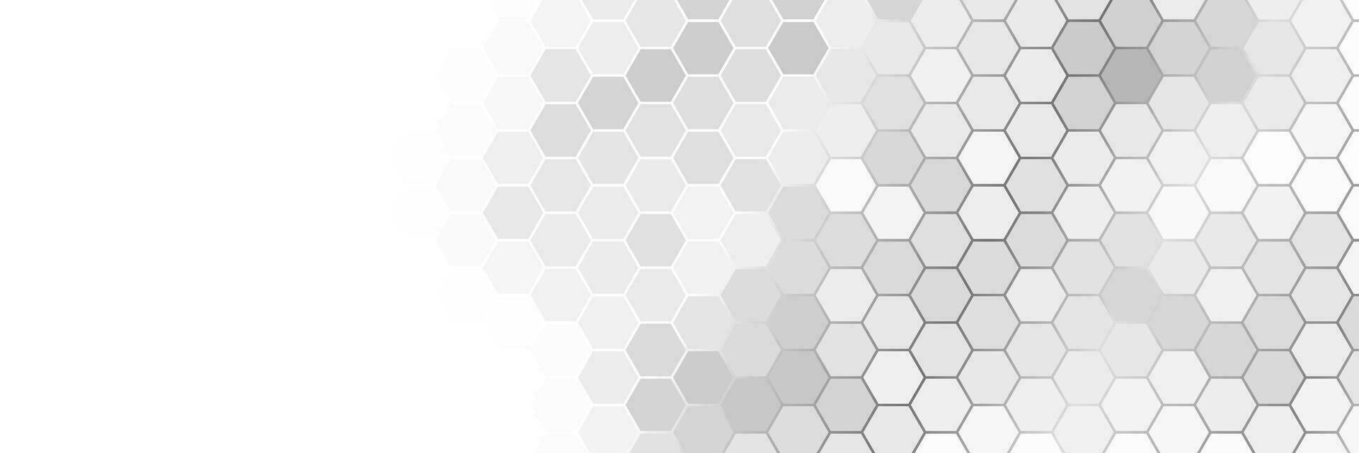 grey and white elegant abstract background vector