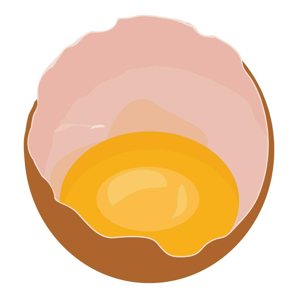Firm ovules egg icon cartoon vector. Broken eggshell vector