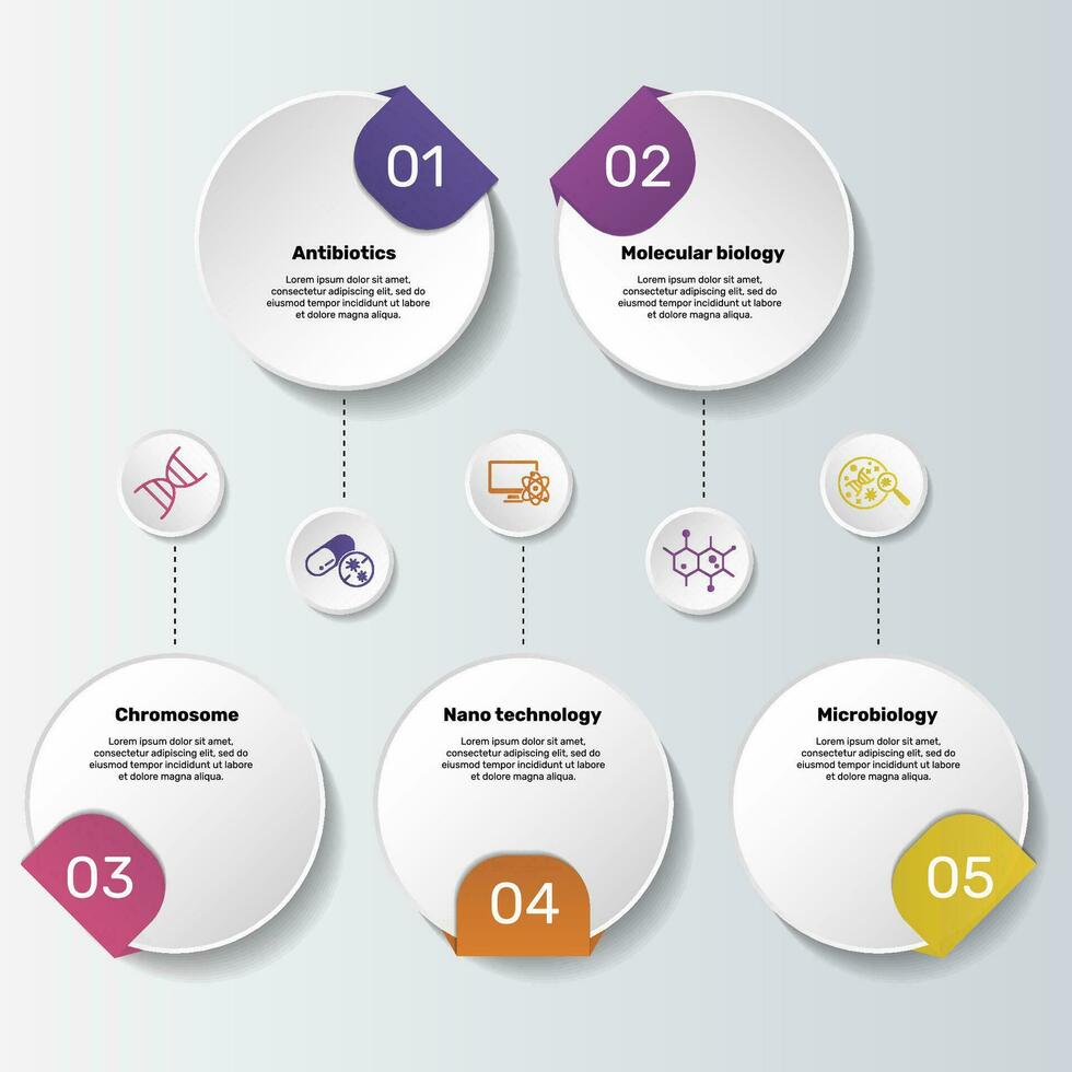 infografia con bioingeniería tema iconos, 10 pasos. tal como antibióticos, molecular biología, cromosoma, nano tecnología y más. vector