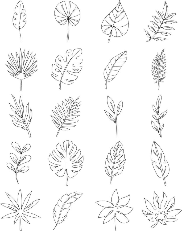 Tropical Leaf Line Art vector