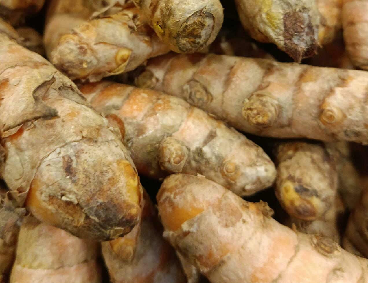Food ingredients. Turmeric root. Indonesian spice photo