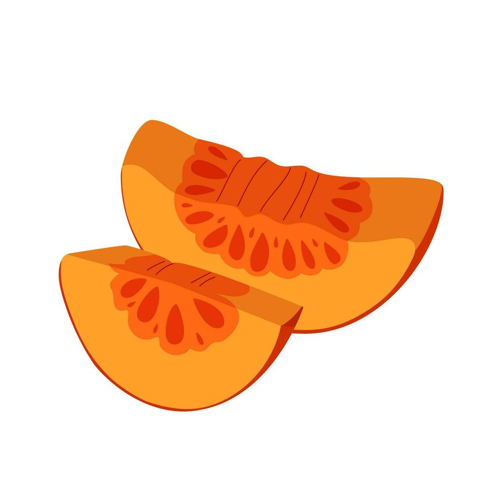 Pumpkin slices isolated on white background. Vector flat illustration for recipe cookbook, menu. Pumpkin dishes, vegetarian healthy food. illustration for websites, printed products, postcards.